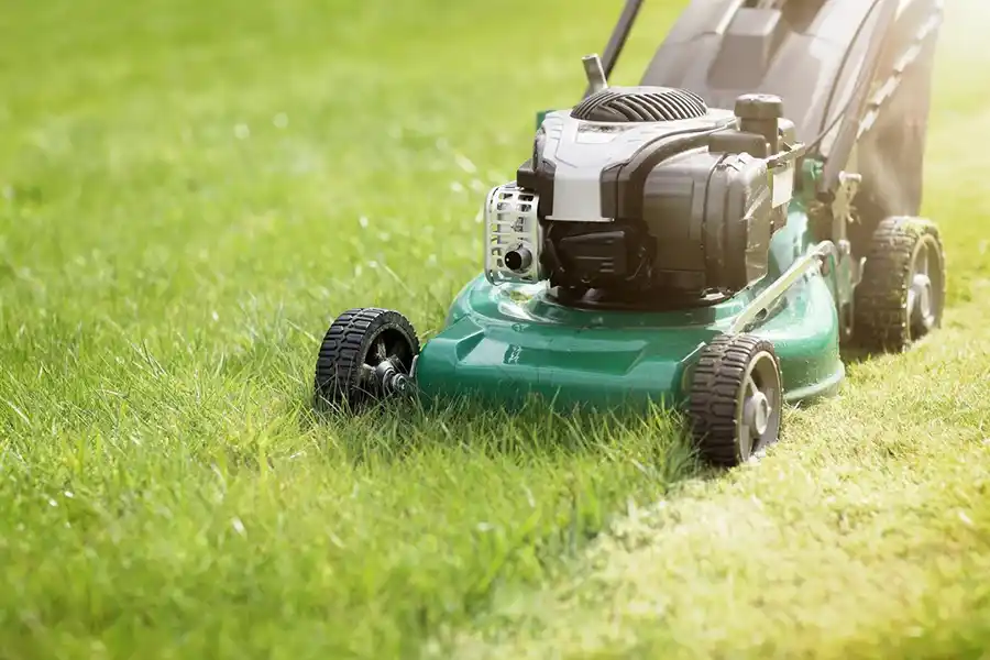 Can you mow wet grass in Wilmington, NC