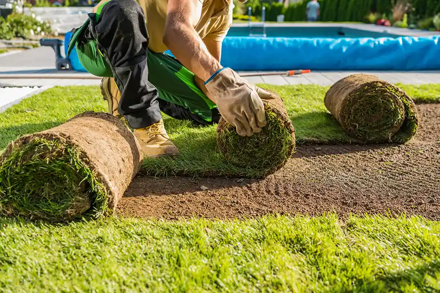 How long after installing sod can you walk on it in Wilmington, NC