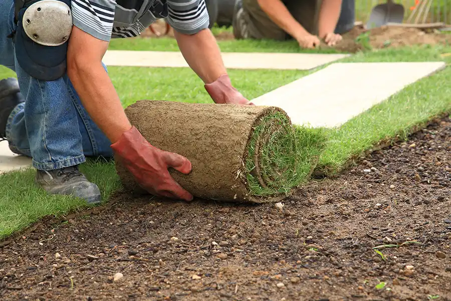 How long after installing sod can you walk on it Wilmington, NC