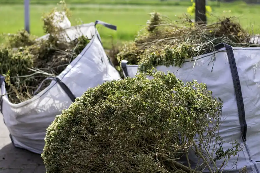 How to clear a yard full of weeds in Wilmington, NC