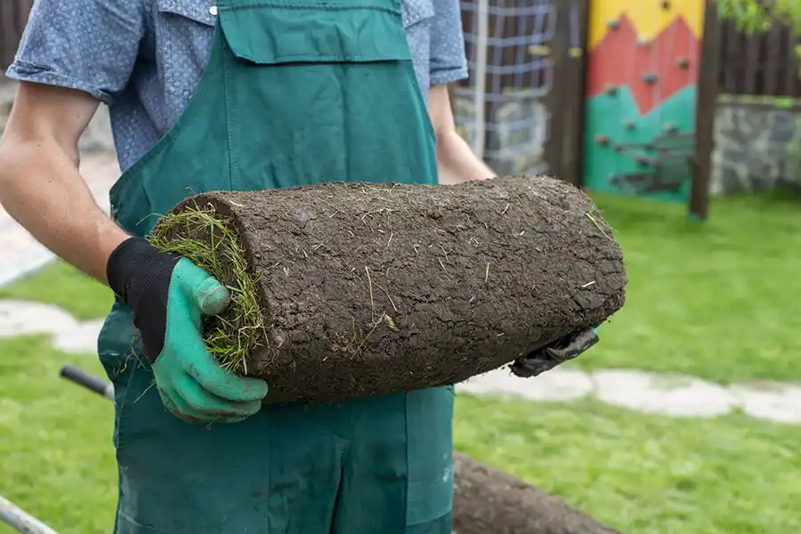 How to lay sod over existing lawn Wilmington, NC