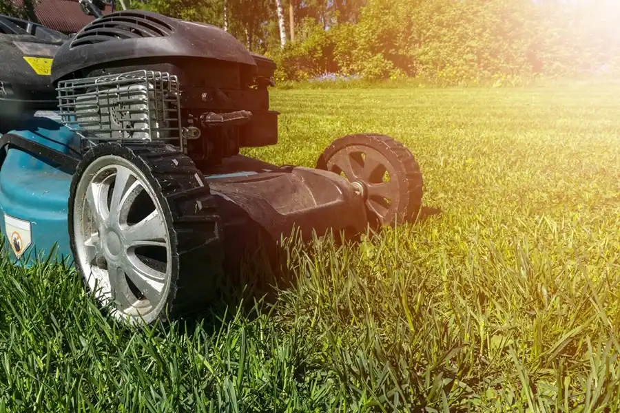 How to mow a lawn in Wilmington, NC