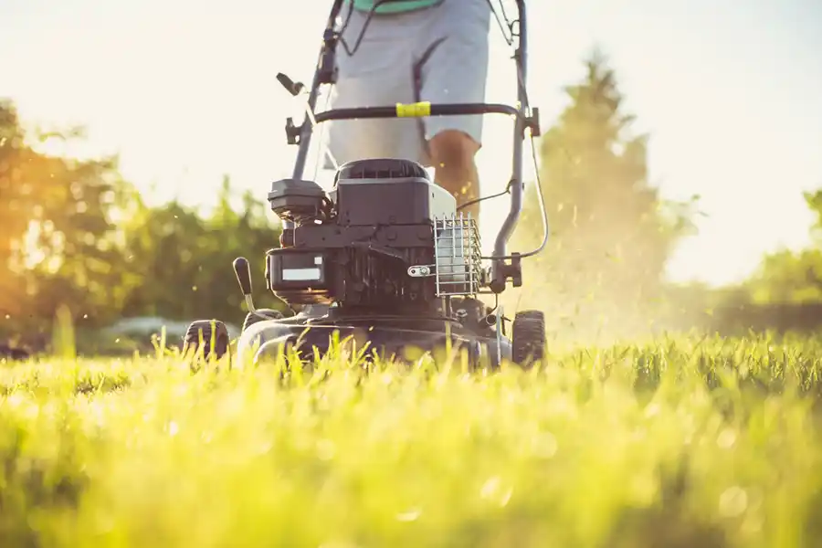 How to mow a lawn Wilmington, NC