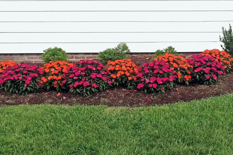 How long does mulch last in Wilmington, NC