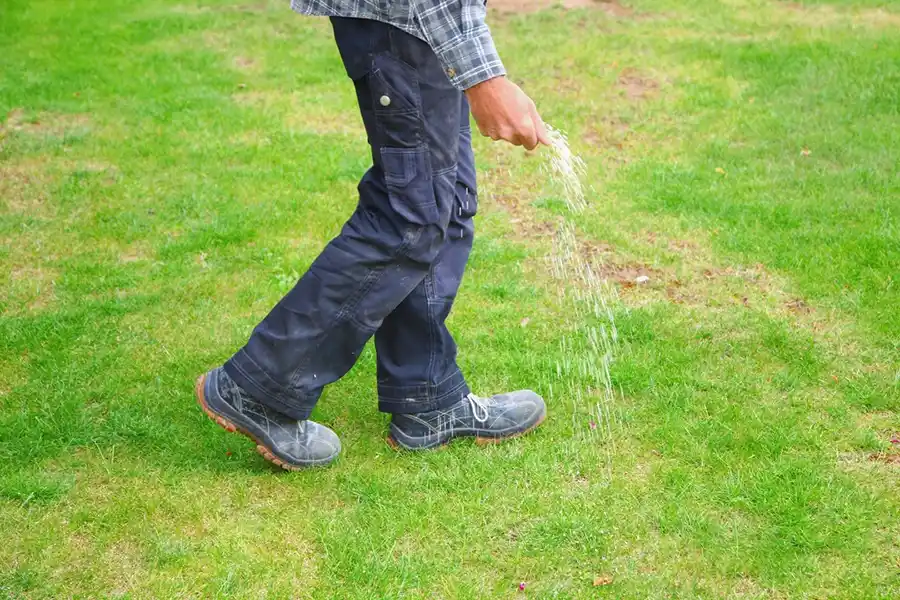 Efficient Lawn Fertilization in Wilmington, NC