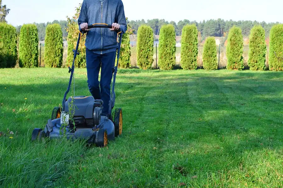 Efficient Lawn Mowing in Wilmington, NC