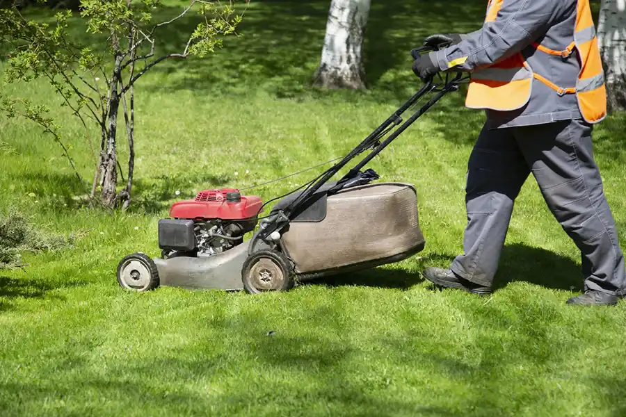 Reliable Lawn Mowing in Wilmington, NC