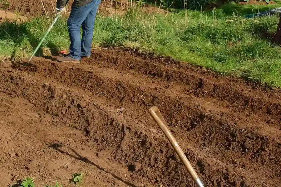 Best Mulching in Wilmington, NC