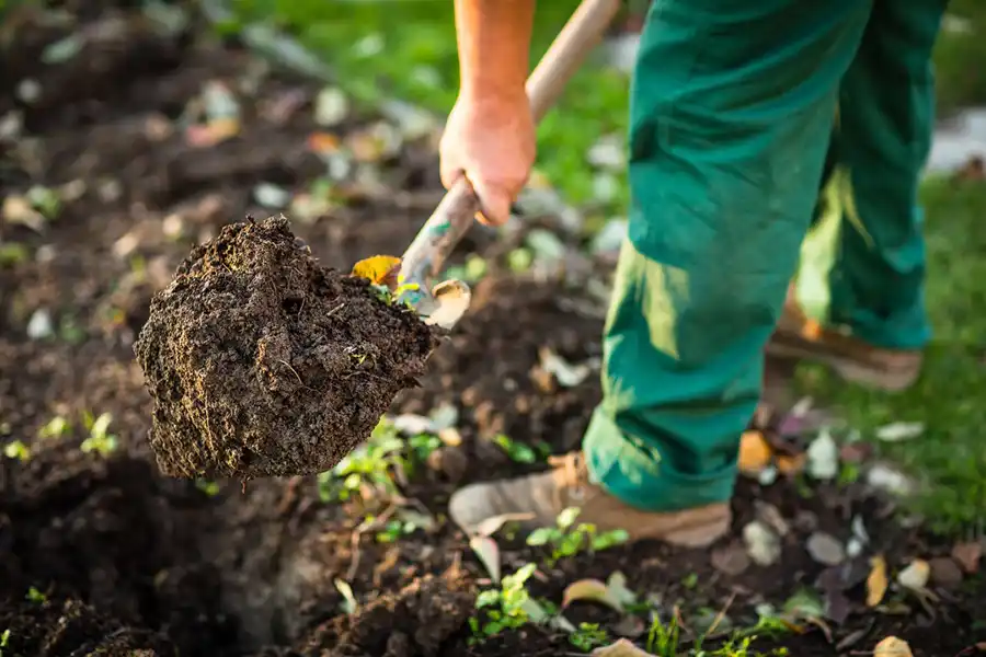 Reliable Mulching in Wilmington, NC