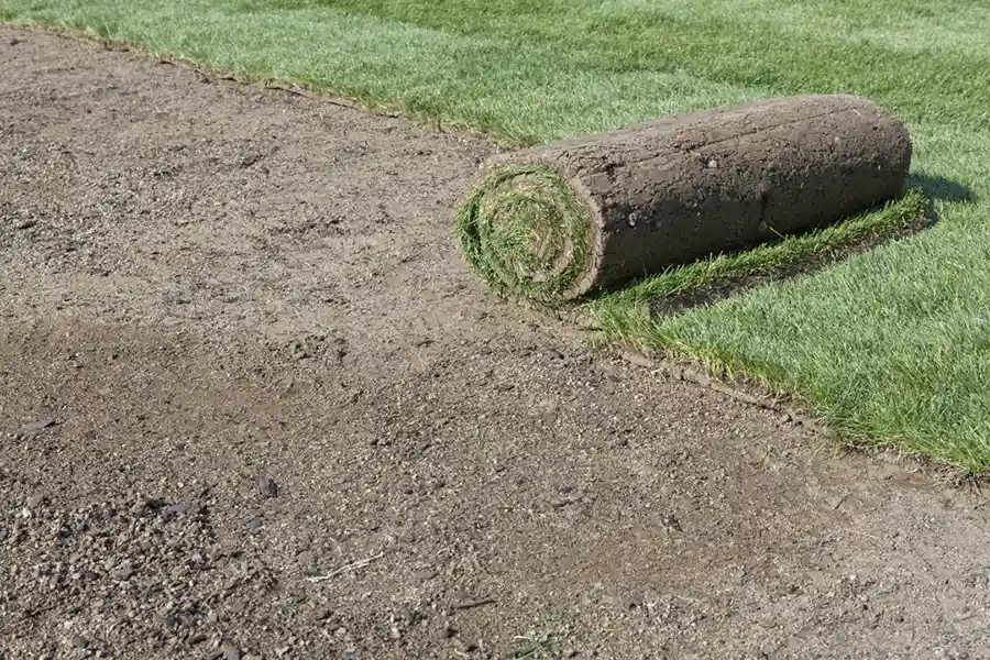 Efficient Sod Installation in Wilmington, NC