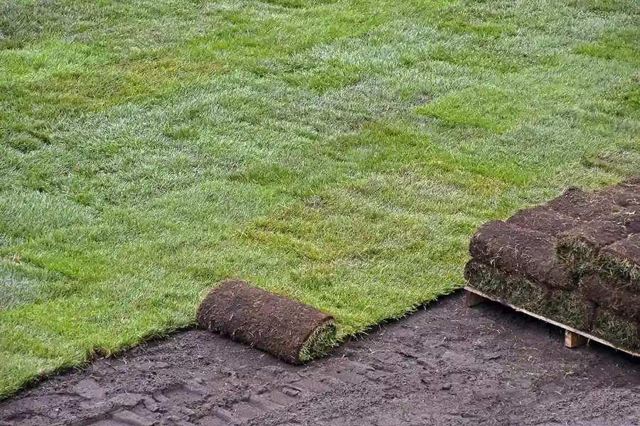 Best Sod Installation in Wilmington, NC