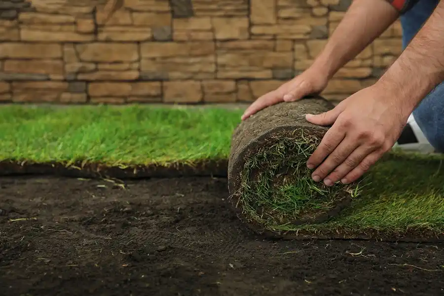 Reliable Sod Installation in Wilmington, NC