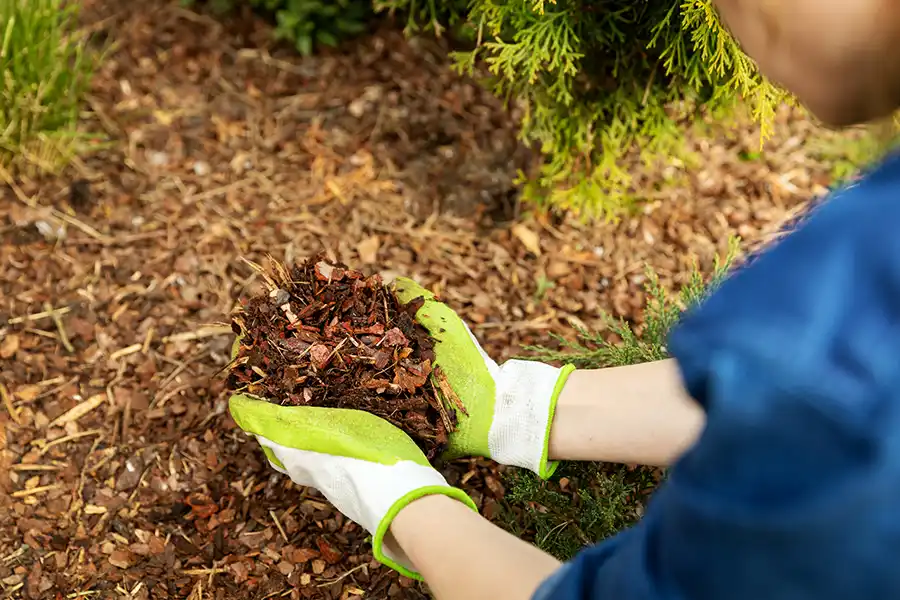 What does mulch do in Wilmington, NC