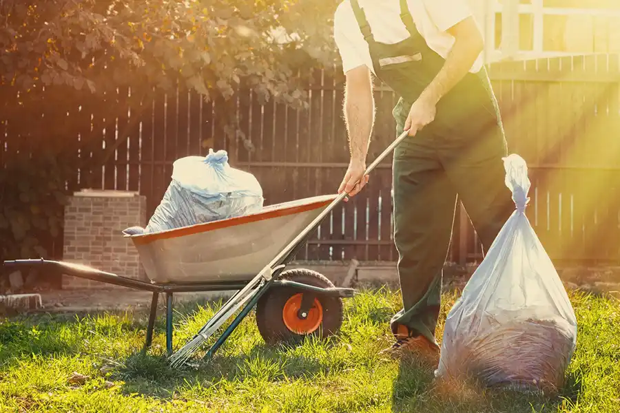 Best Yard cleanup in Wilmington, NC